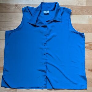 Delta Burke Royal Blue Button Down Shirt